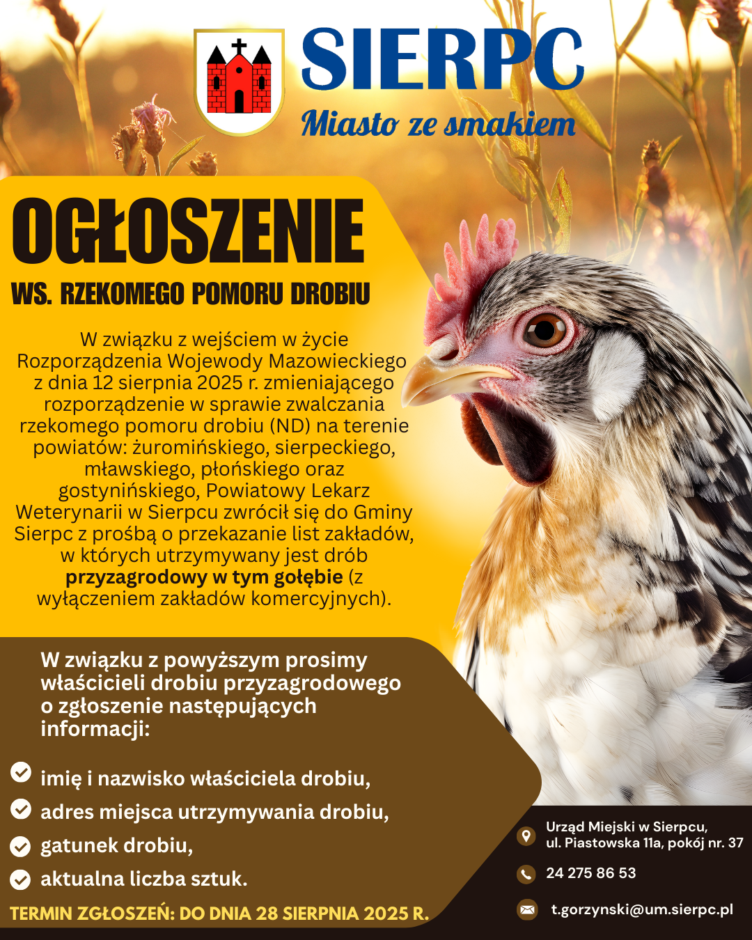 Ogłoszenie dotyczące pomoru drobiu, na plakacie widnieje kura z informacjami aby przesłać liczbę oraz gatunek posiadanego drobiu 